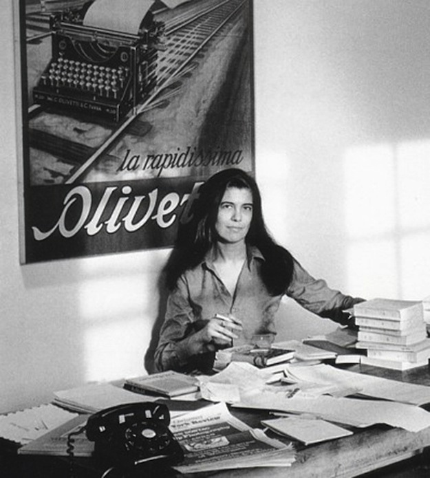 susan sonntag