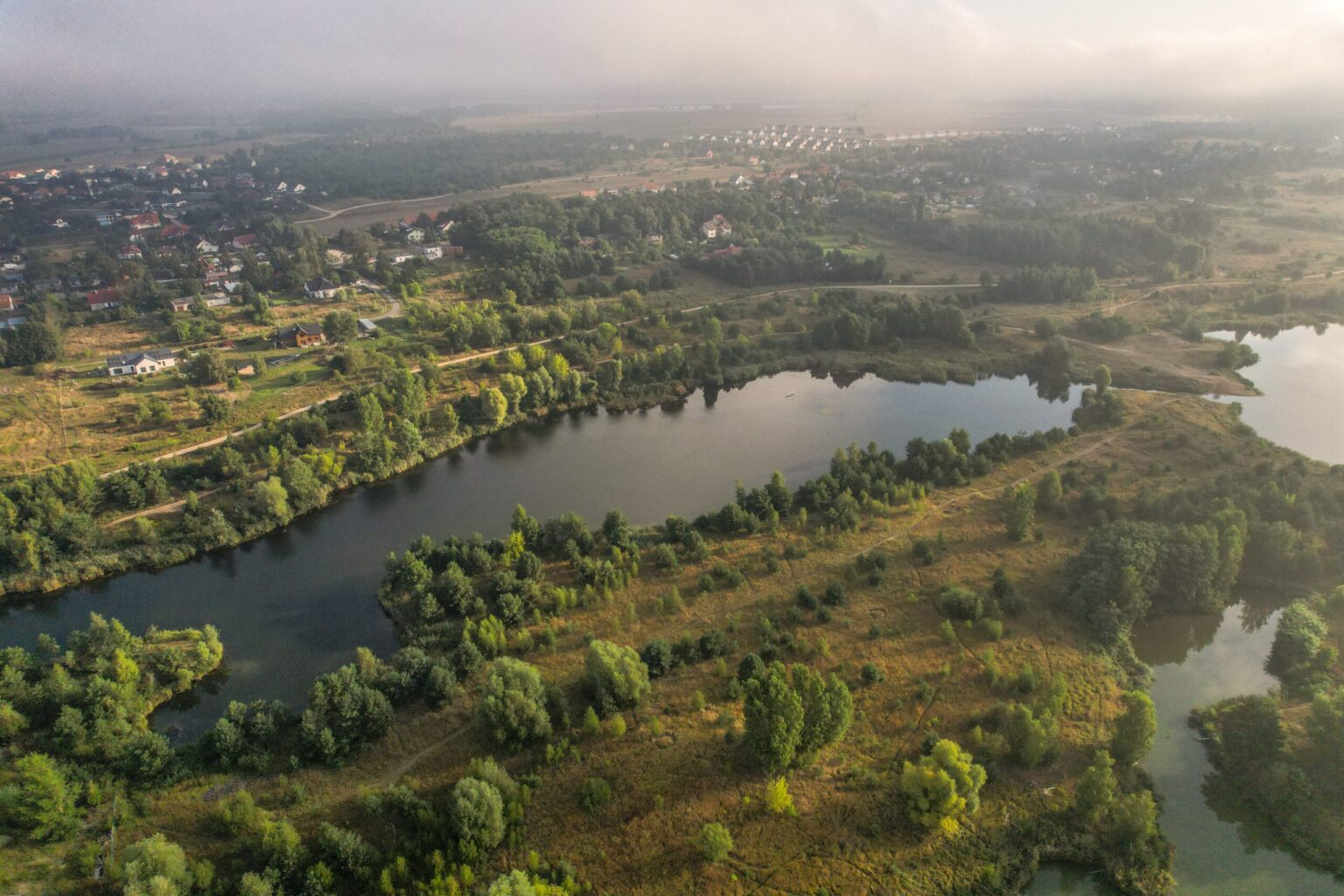 Stawy Milickie – przyrodniczy skarb Doliny Baryczy i niezwykła kraina ptaków stawy milickie